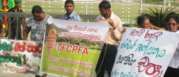 UFCPFA